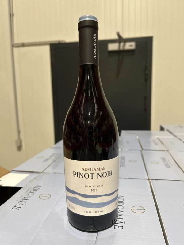 AdegaMãe Pinot Noir